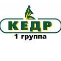 Кедр 1 группа