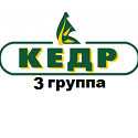 Кедр 3 группа