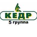 Кедр 5 группа