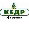 Стеновые панели Кедр 4 группа