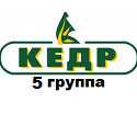 Стеновые панели Кедр 5 группа
